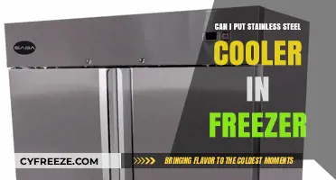 Chill or Freeze: The Truth About Stainless Steel Coolers in Your Freezer