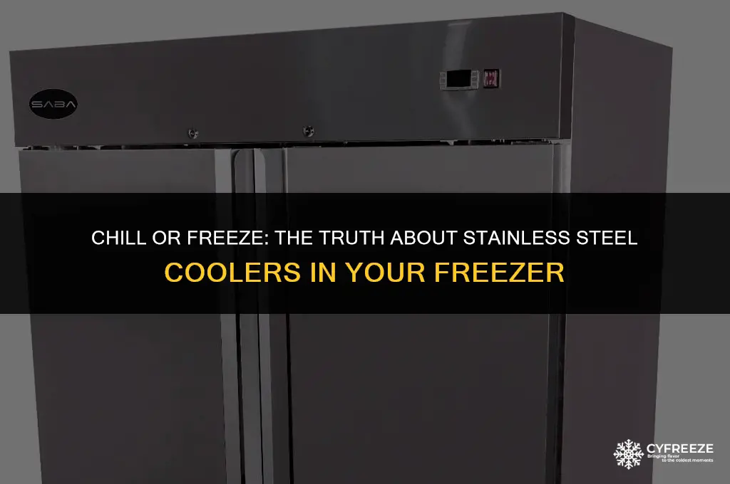 can i put stainless steel cooler in freezer
