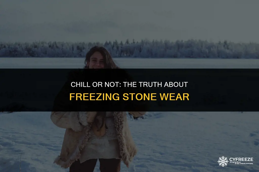can i put stone wear in the freezer