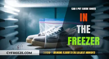 Freeze or Not to Freeze: The Ultimate Guide to Suede Shoe Care