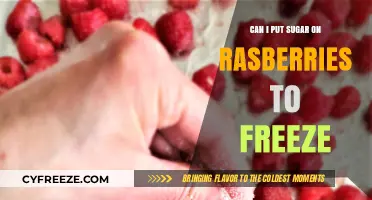 Sweetening the Freeze: A Guide to Sugaring Raspberries for Optimal Flavor