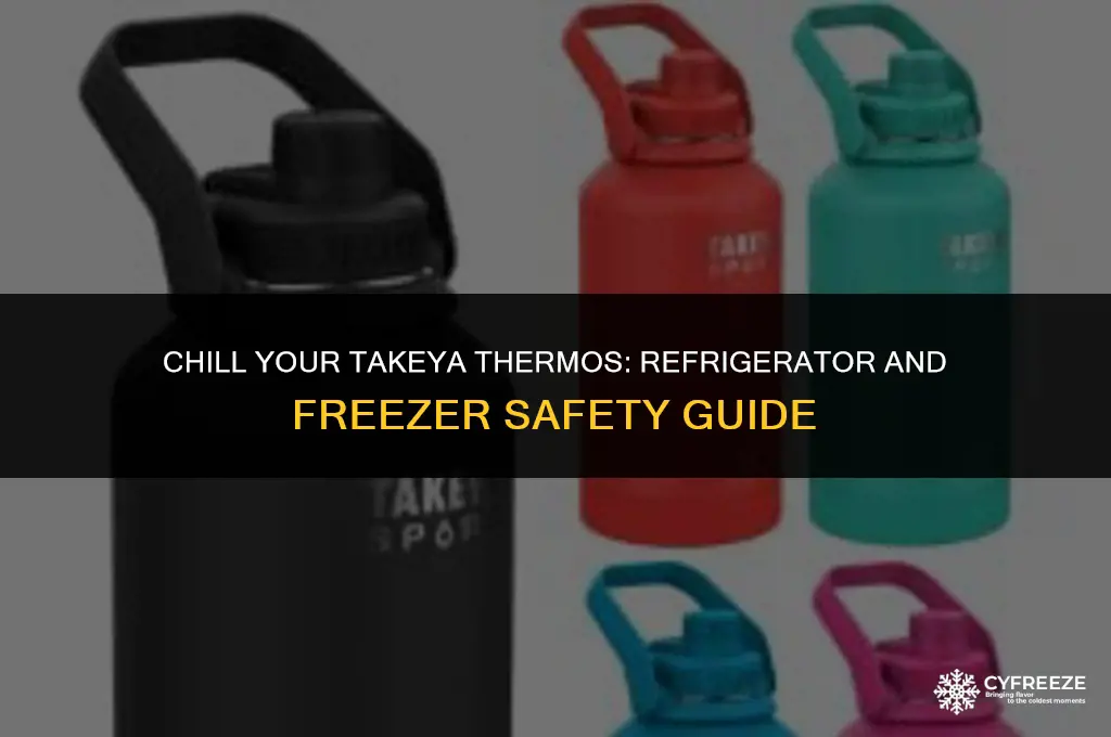 can i put takeya thermos in fridge or freezer