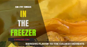 Freezing Tamales: A Handy Guide to Preserve Your Favorites