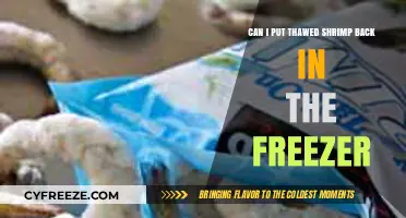 Revisiting Frozen Delights: Can Thawed Shrimp Be Refrozen Safely?