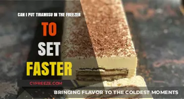 Quick Chill: Can You Freeze Tiramisu to Set Faster?
