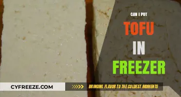 Tofu Freezing 101: A Complete Guide to Freezing and Thawing Tofu
