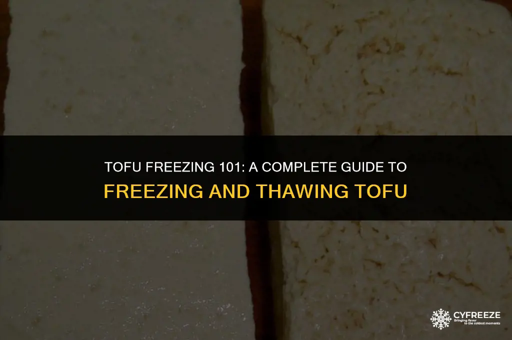 can i put tofu in freezer