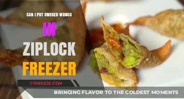 Smart Storage: Freezing Unused Wontons for Later Use
