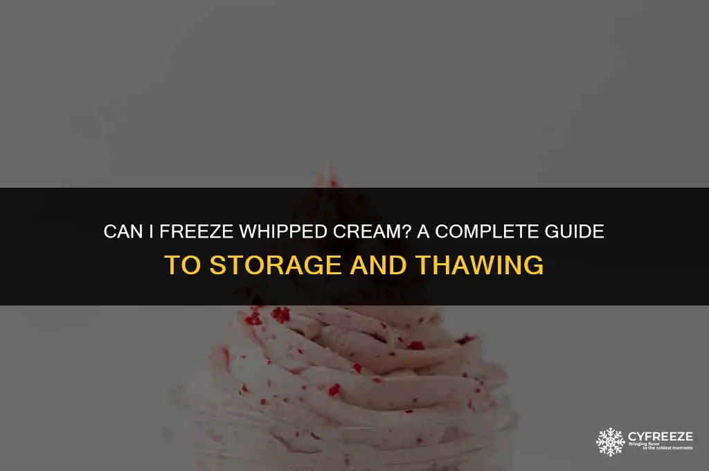 can i put whipped cream in the freezer