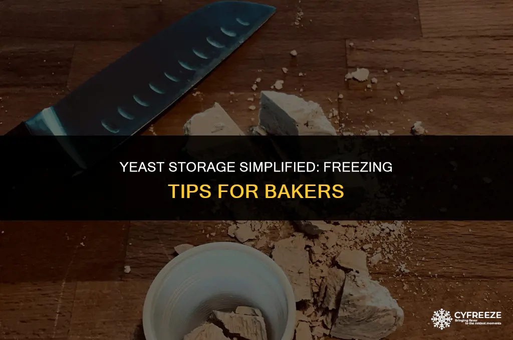 can i put yeast in the freezer