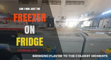Eco-Friendly Cooling: Running Just the Freezer on Your Fridge