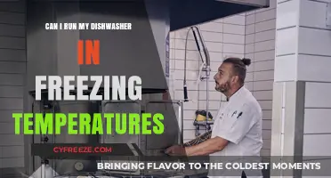 Running Your Dishwasher in Freezing Temps: Tips and Precautions