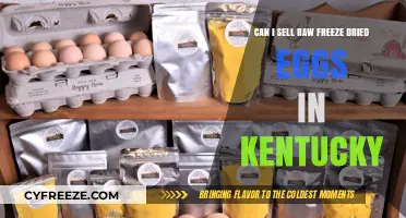 Selling Raw Freeze-Dried Eggs in Kentucky: Legal and Practical Guide