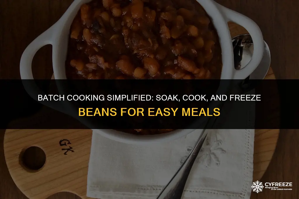 can i soak and cook beans and then freeze them