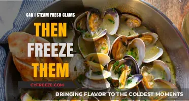 Fresh Clams to Frozen Delights: A Steaming and Freezing Guide