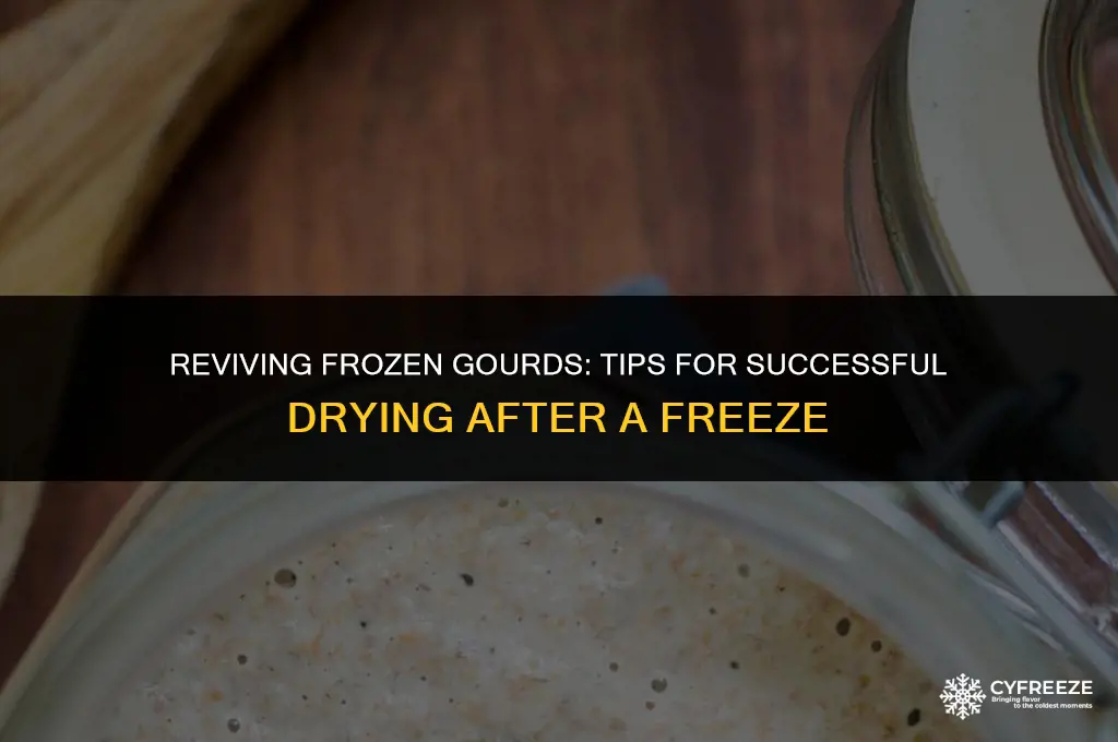 can i still dry out gourds after freeze