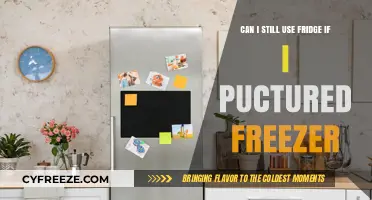 Is Your Fridge Still Safe After a Freezer Puncture?
