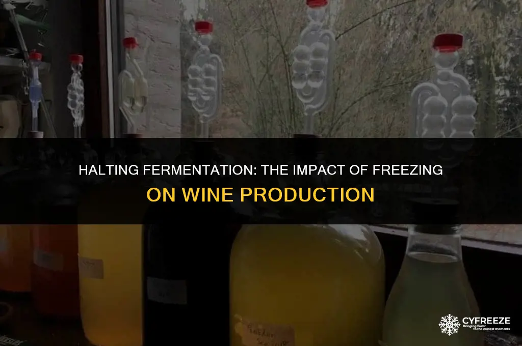 can i stop wine fermenting by putting in freezer