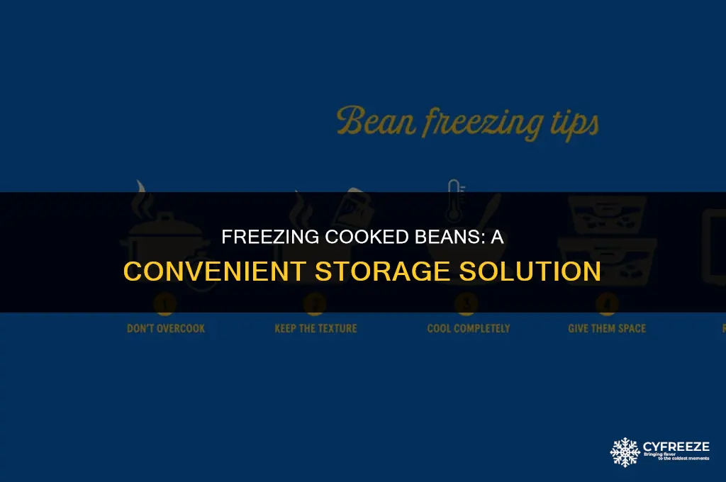 can i store cooked beans in the freezer