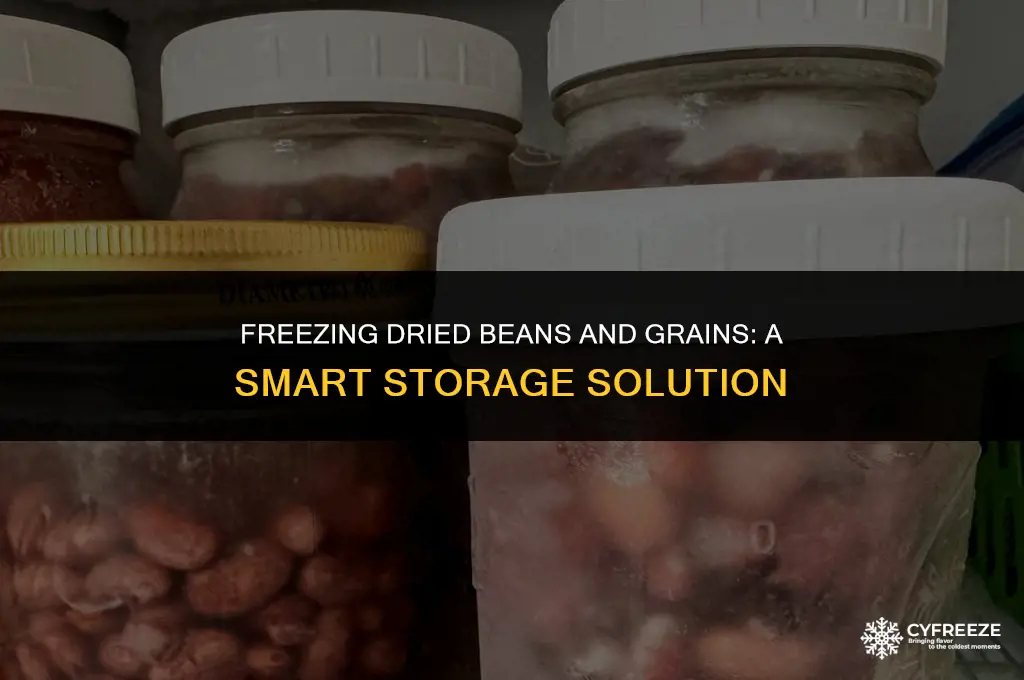 can i store dried beans and grains in the freezer
