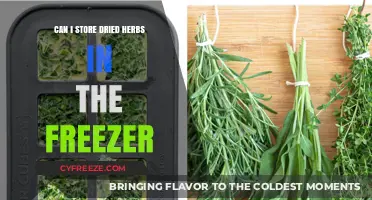 Herb Preservation: Freezing Dried Herbs for Long-Term Storage