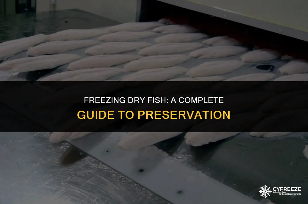 can i store dry fish in the freezer