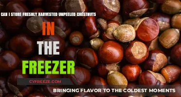 Freezing Fresh Chestnuts: A Guide to Storing Unpeeled Harvests