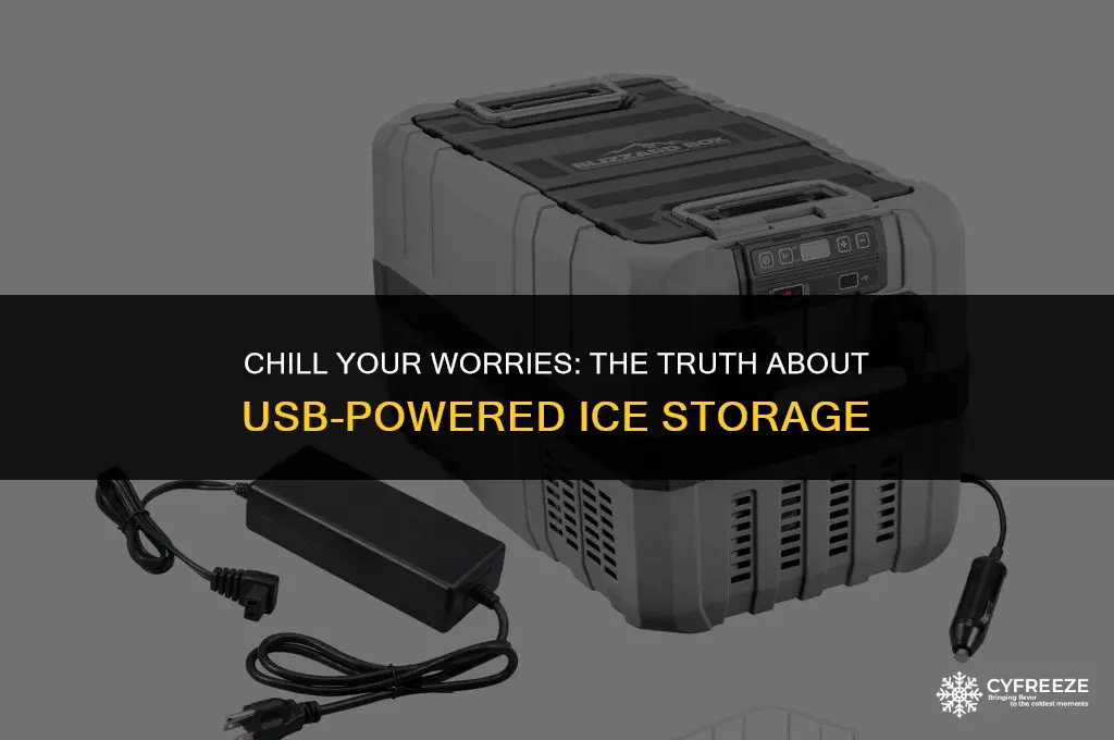 can i store ice through a usb freezer