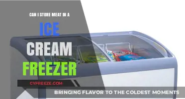 Chilling Secrets: Can Your Ice Cream Freezer Double as a Meat Locker?