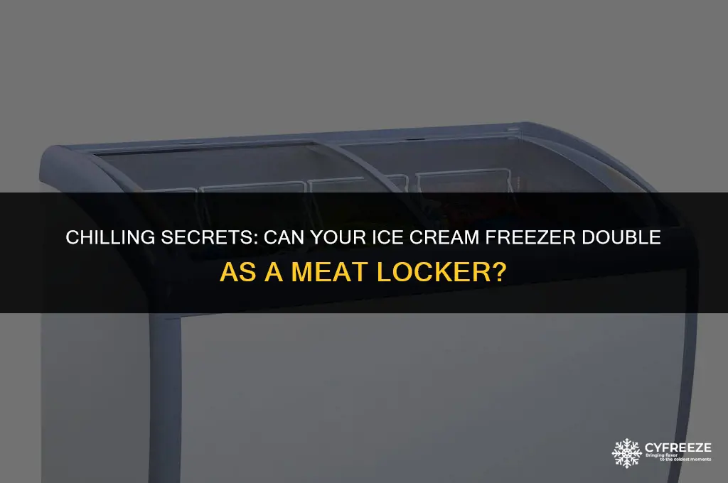 can i store meat in a ice cream freezer