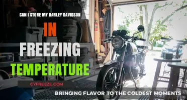 Storing Your Harley Davidson in Freezing Temps: What You Need to Know