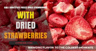 Sweet Swaps: Can Freeze-Dried Strawberries Replace Dried Ones?