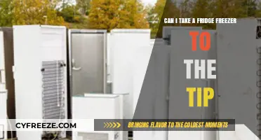 Eco-Friendly Disposal: Can You Take a Fridge Freezer to the Tip?