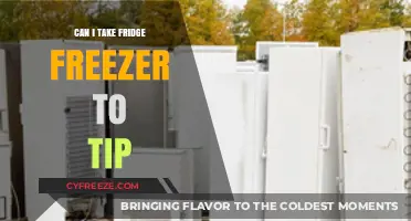 Eco-Friendly Disposal: Can You Take Your Fridge Freezer to the Tip?