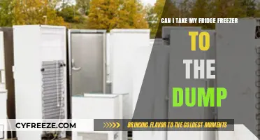 Eco-Friendly Disposal: Can You Take Your Fridge Freezer to the Dump?