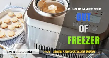 Chill or No Chill: The Great Ice Cream Maker Debate