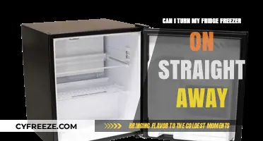 Quick Chill: Can You Turn Your Fridge Freezer On Immediately?