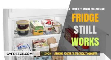 Can I Turn Off My Amana Freezer and Keep the Fridge Running?