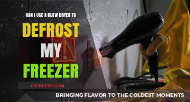 Blow Dryer for Freezer Defrosting: Safe or Risky Idea?