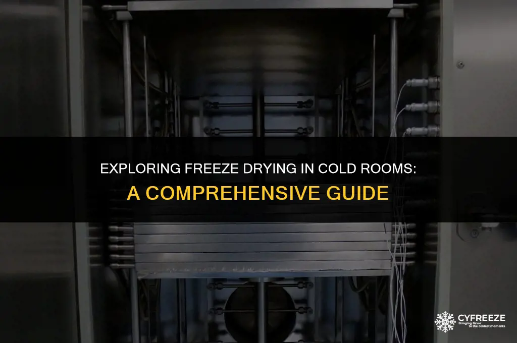 can i use a freeze drier on a cold room