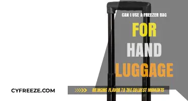 Can Freezer Bags Be Used as Hand Luggage? Travel Tips