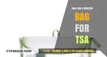 Can Freezer Bags Pass TSA Screening? Travel Tips and Tricks