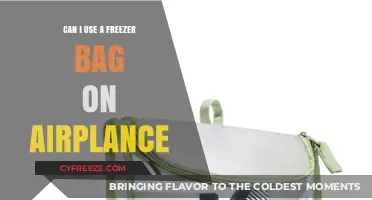 Can You Use Freezer Bags on Airplanes? TSA Rules Explained