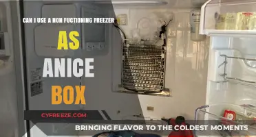 Repurposing a Broken Freezer: Can It Double as an Ice Box?