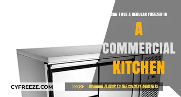Using a Regular Freezer in Commercial Kitchens: Is It Feasible?