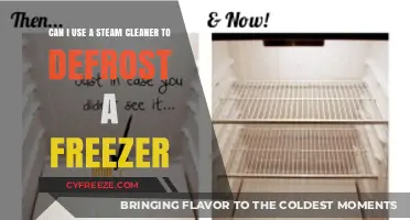 Steam Cleaner for Freezer Defrosting: Safe or Risky Method?