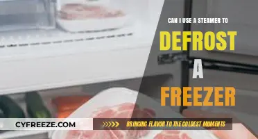 Using a Steamer to Defrost a Freezer: Safe or Risky?