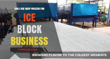 Maximizing Profits: Using Deep Freezers for Your Ice Block Business