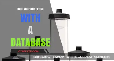 Using Flask-Freeze with Databases: A Comprehensive Guide for Developers