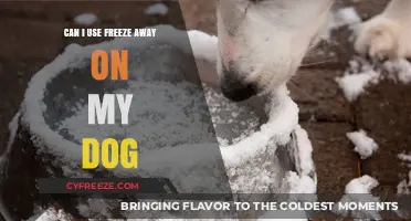 Using Freeze Away on Dogs: Safety, Risks, and Alternatives Explained